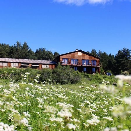 Gite Ranch Le Serpolet Les Angles  Buitenkant foto