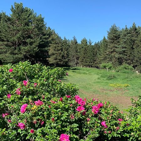 Gite Ranch Le Serpolet Les Angles  Buitenkant foto