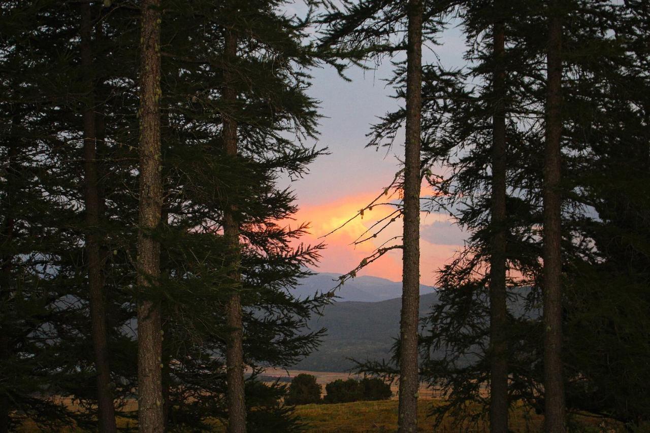 Gite Ranch Le Serpolet Les Angles  Buitenkant foto