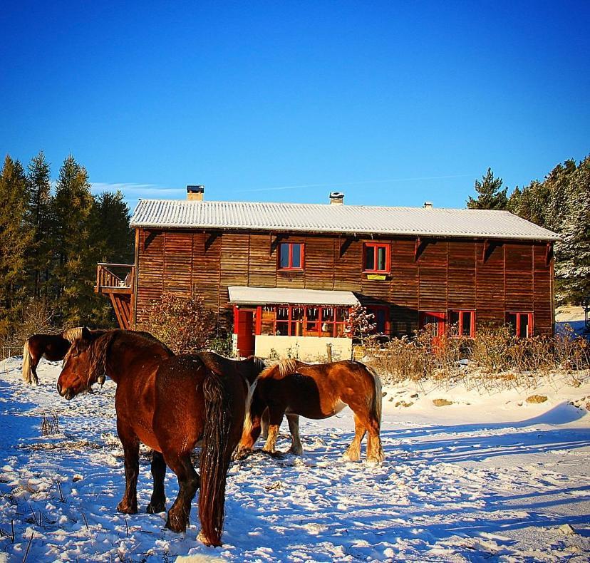 Gite Ranch Le Serpolet Les Angles  Buitenkant foto