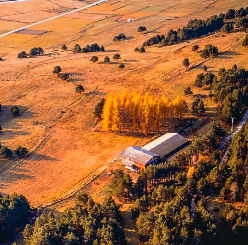 Gite Ranch Le Serpolet Les Angles  Buitenkant foto