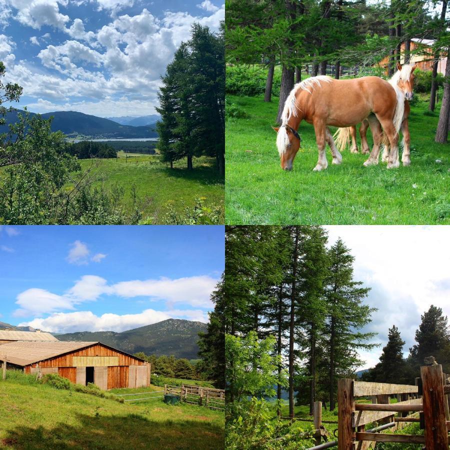 Gite Ranch Le Serpolet Les Angles  Buitenkant foto