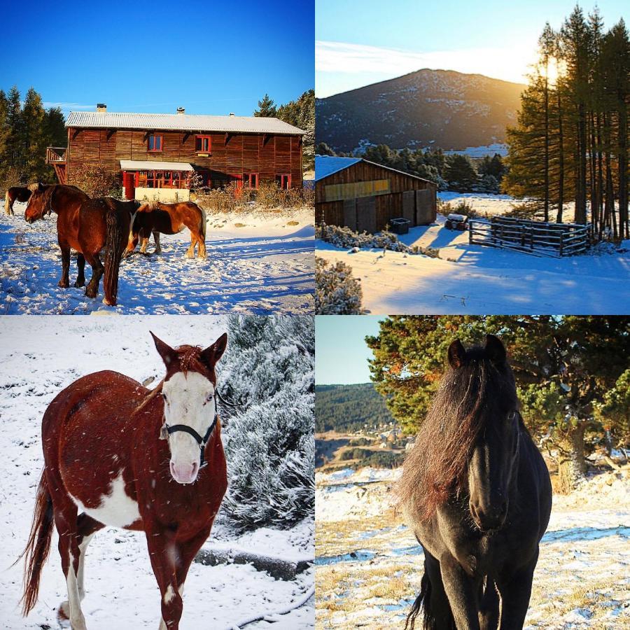 Gite Ranch Le Serpolet Les Angles  Buitenkant foto