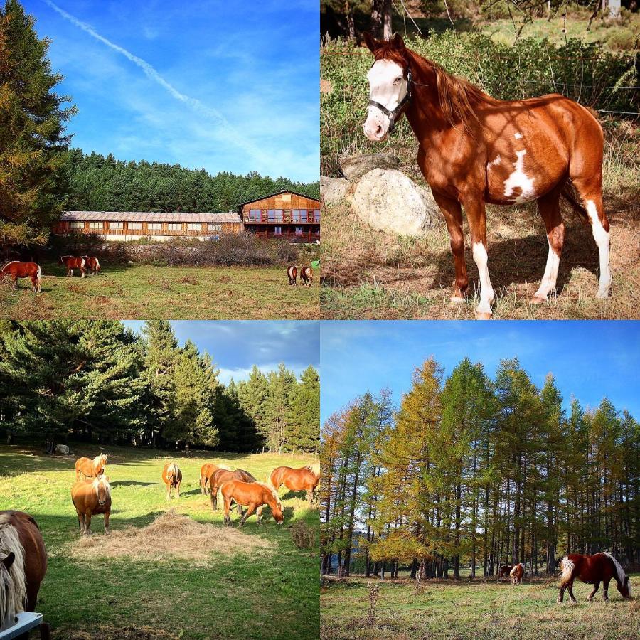 Gite Ranch Le Serpolet Les Angles  Buitenkant foto