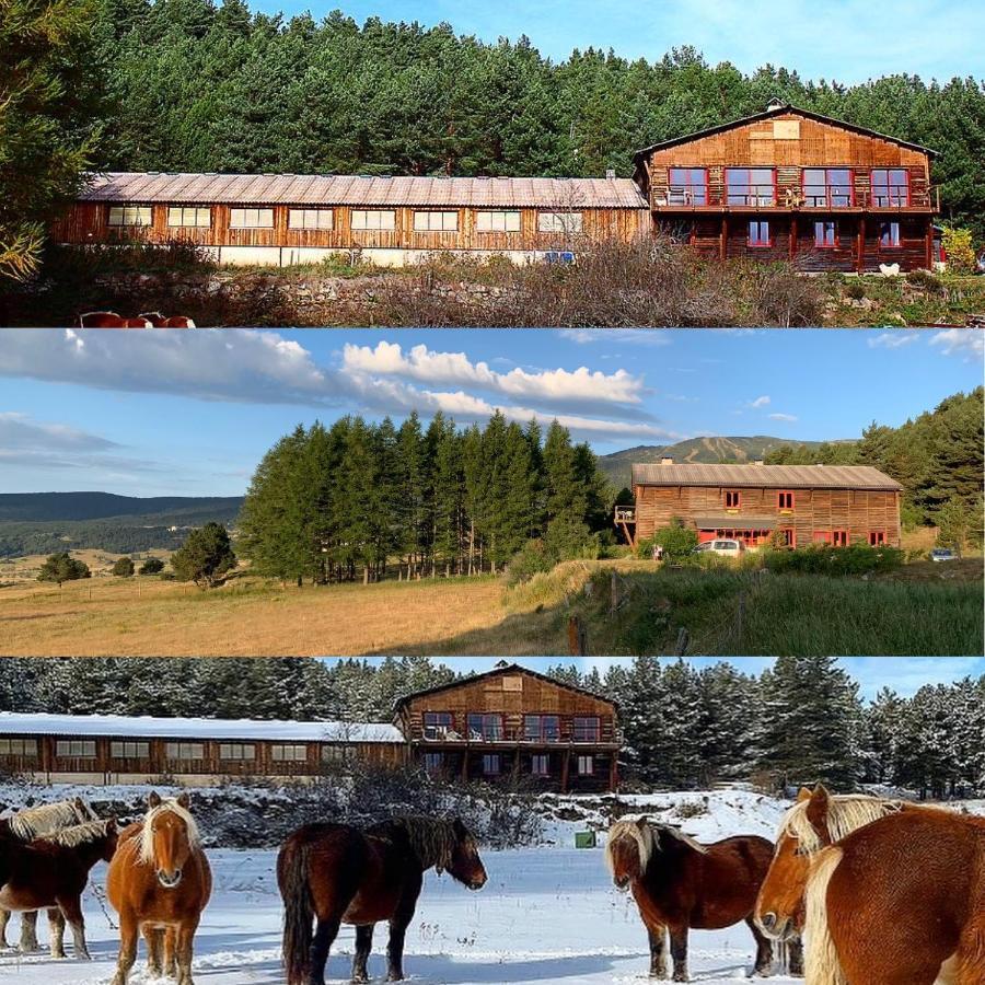 Gite Ranch Le Serpolet Les Angles  Buitenkant foto